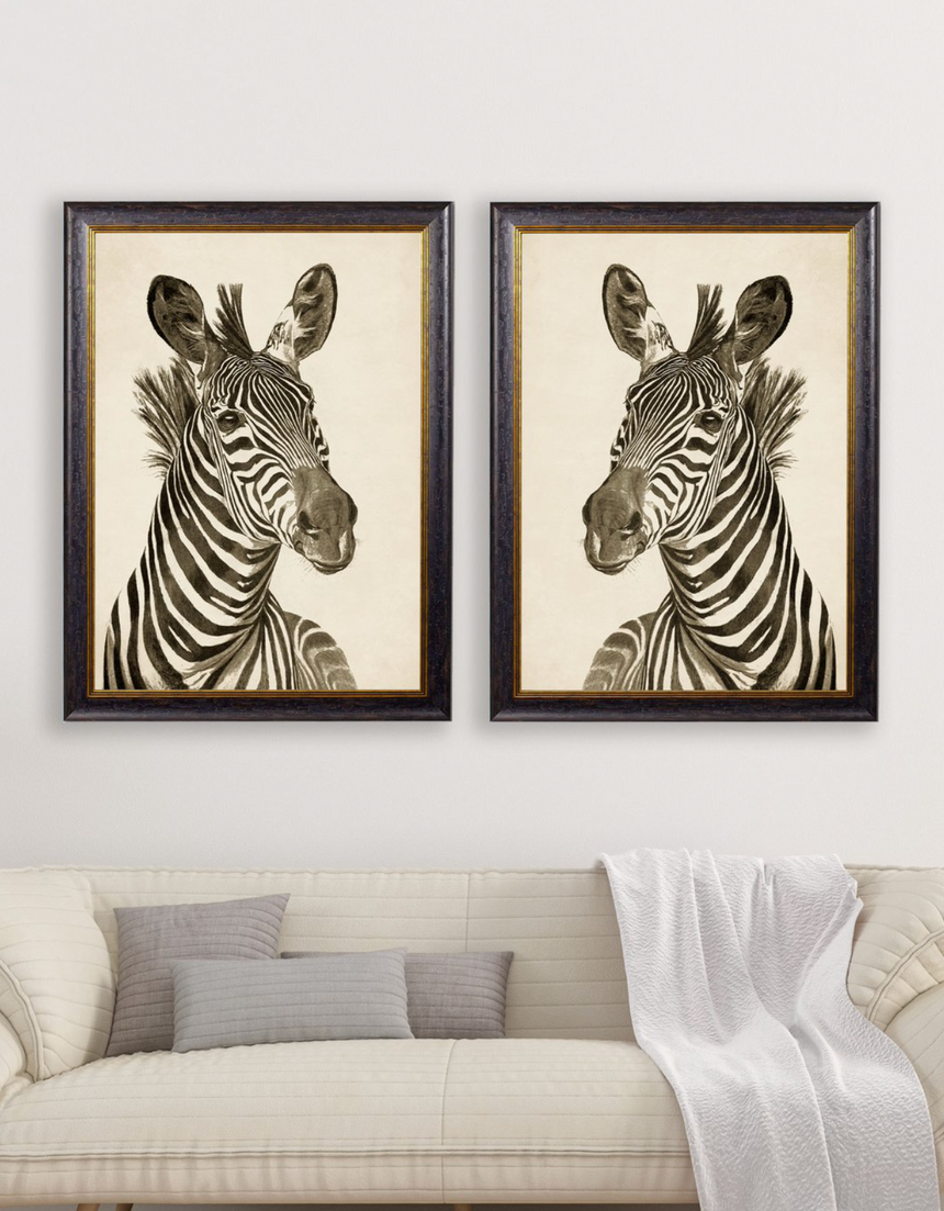 Vintage Framed Print, Zebra (Pair Of Two Prints)