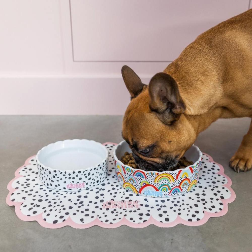 Eleanor Bowmer Ceramic Pet Bowl, Rainbow (Set Of 2)