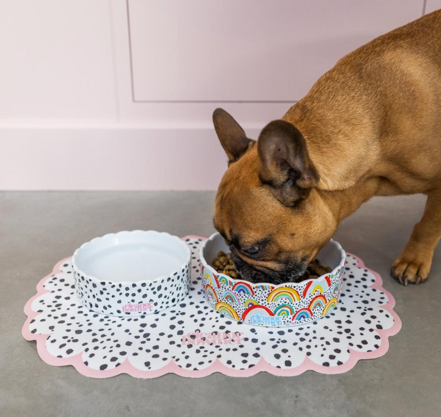 Eleanor Bowmer Ceramic Pet Bowl, Rainbow (Set Of 2)