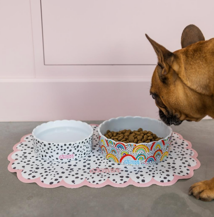 Eleanor Bowmer Ceramic Pet Bowl, Rainbow (Set Of 2)