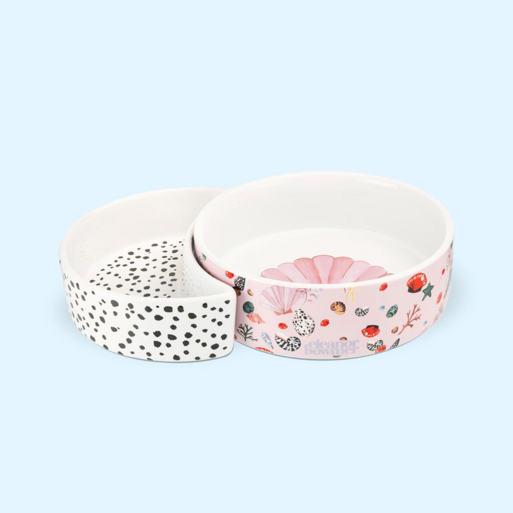 Eleanor Bowmer Ceramic Half Moon Pet Bowl, Miami Shells (Set Of 2)