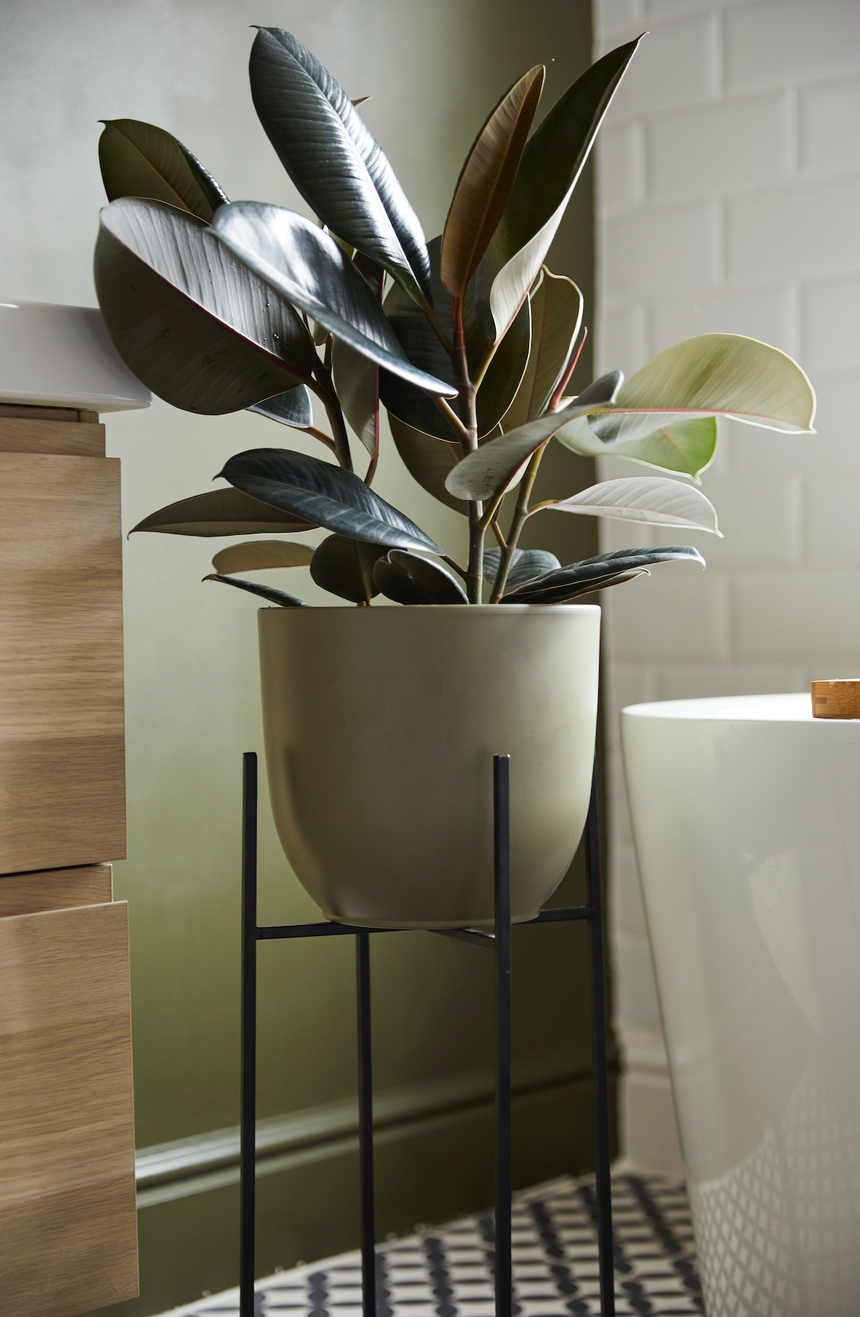 Siena Ceramic Plant Pot, Green