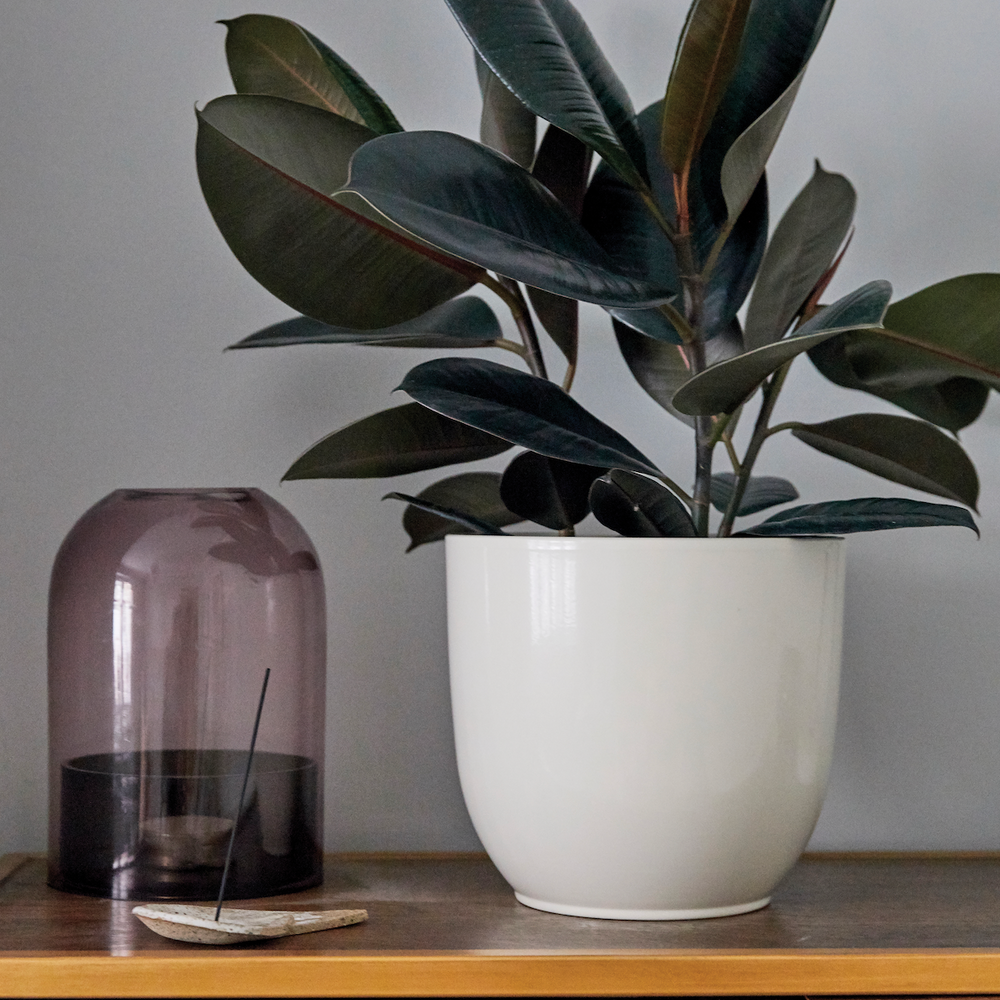 Siena Ceramic Plant Pot, White