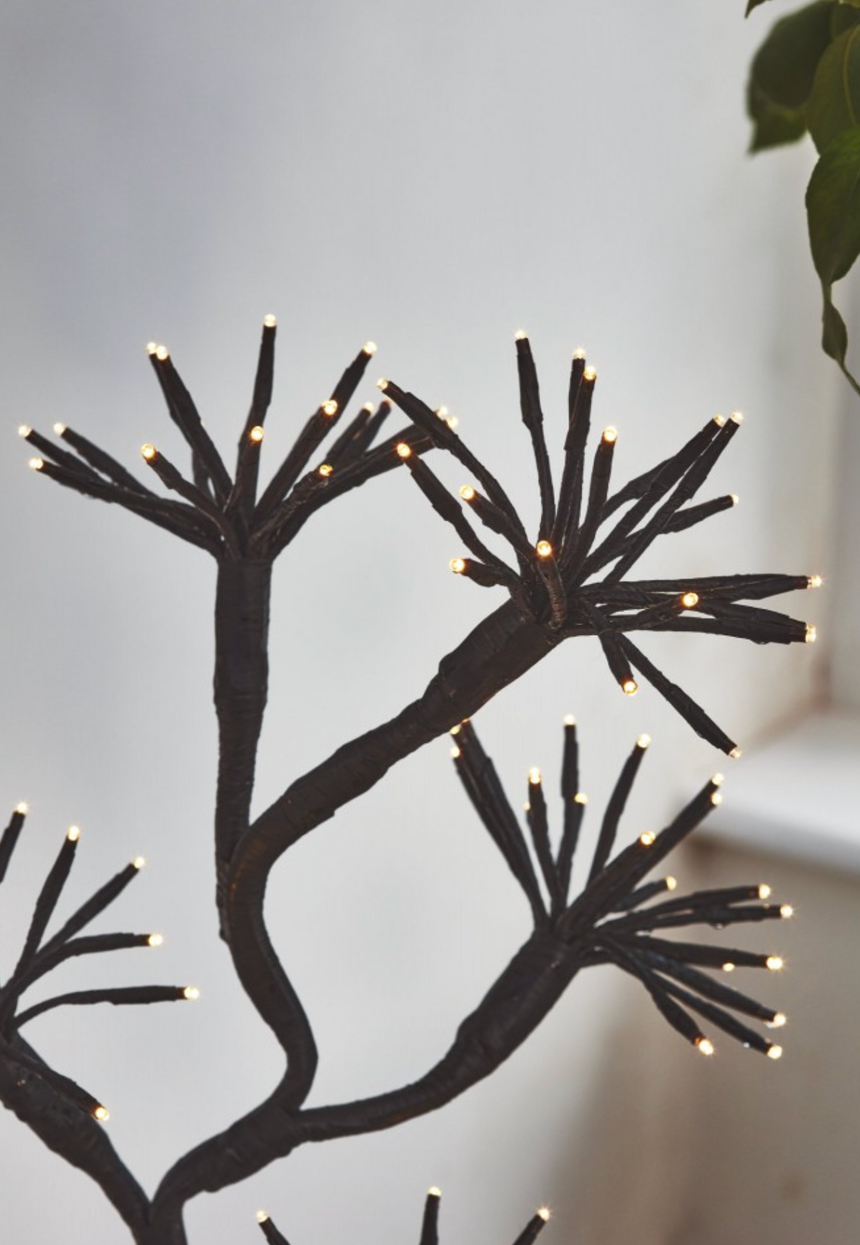 Starburst Branch LED Fairy Light (Dual Powered)