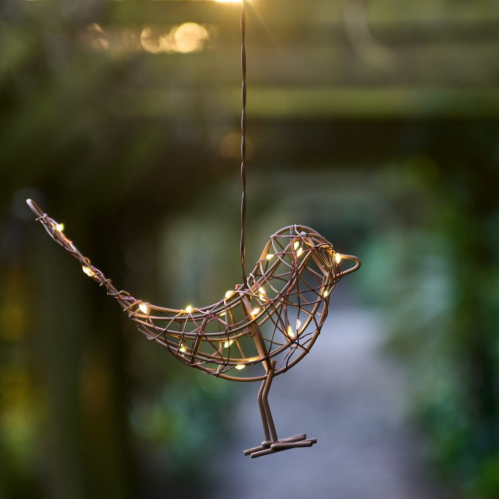 Hanging Robin  LED Fairy Light (Battery Powered)
