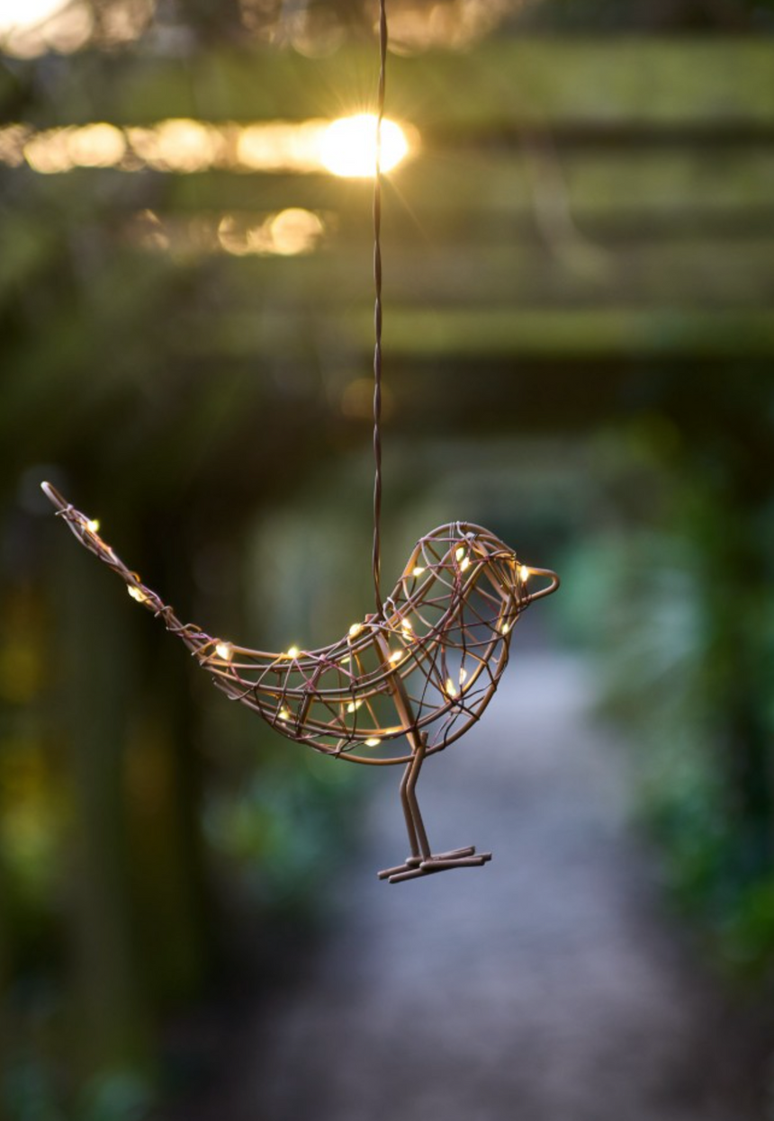 Hanging Robin  LED Fairy Light (Battery Powered)