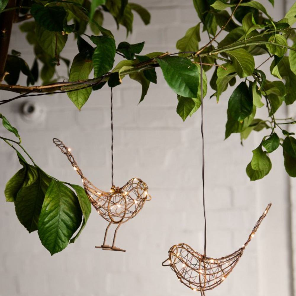 Hanging Robin  LED Fairy Light (Battery Powered)