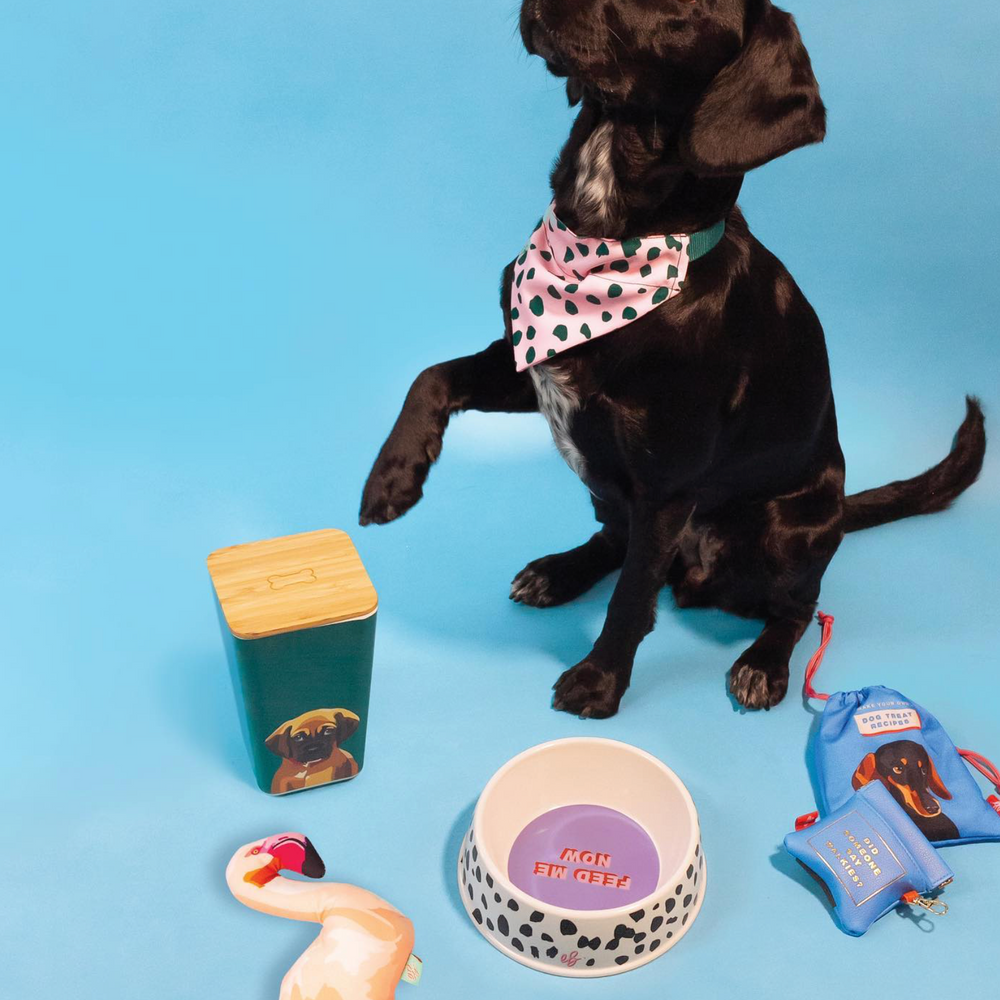 Emily Brooks Bamboo Dog Food Storage Pot