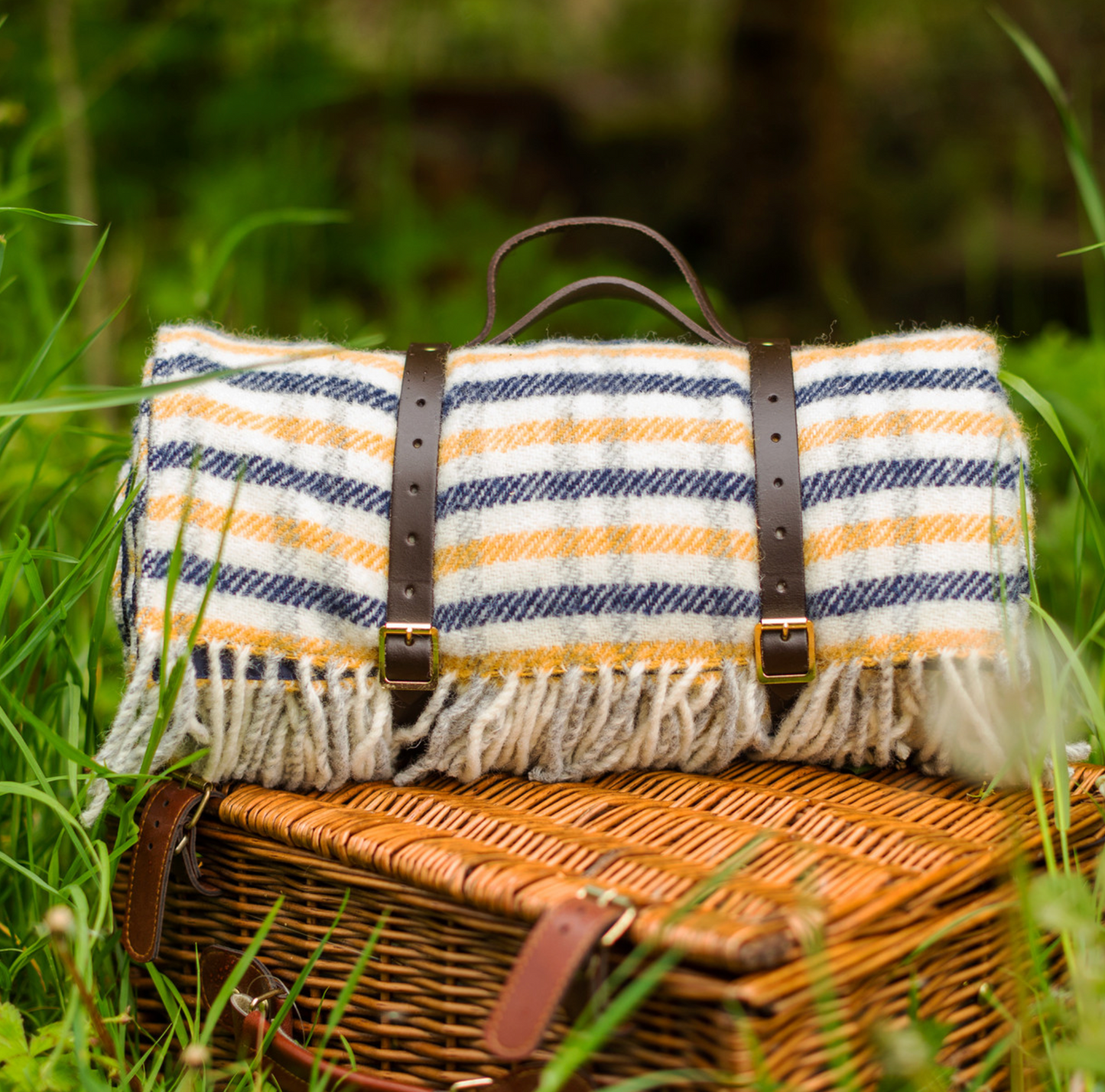 Tweedmill Polo Pure Wool Knitted Picnic Blanket, Navy/ Yellow Gun Club Check