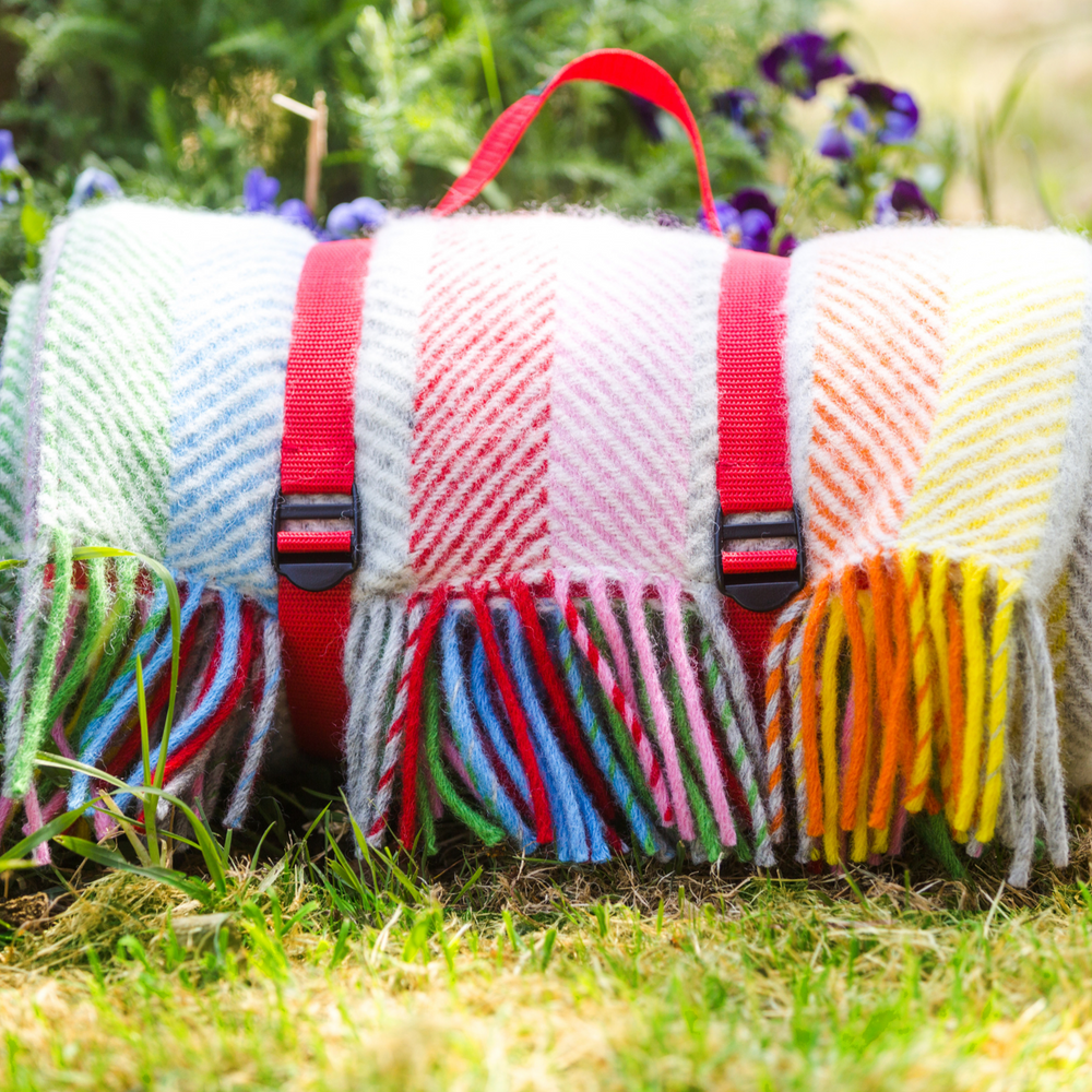 Tweedmill Polo Pure Wool Knitted Picnic Blanket, Rainbow