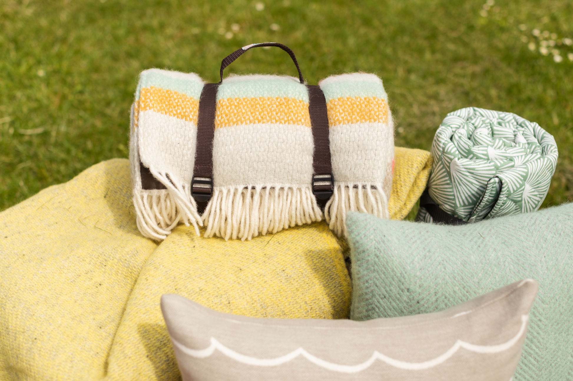 Picnic blanket discount with pillow