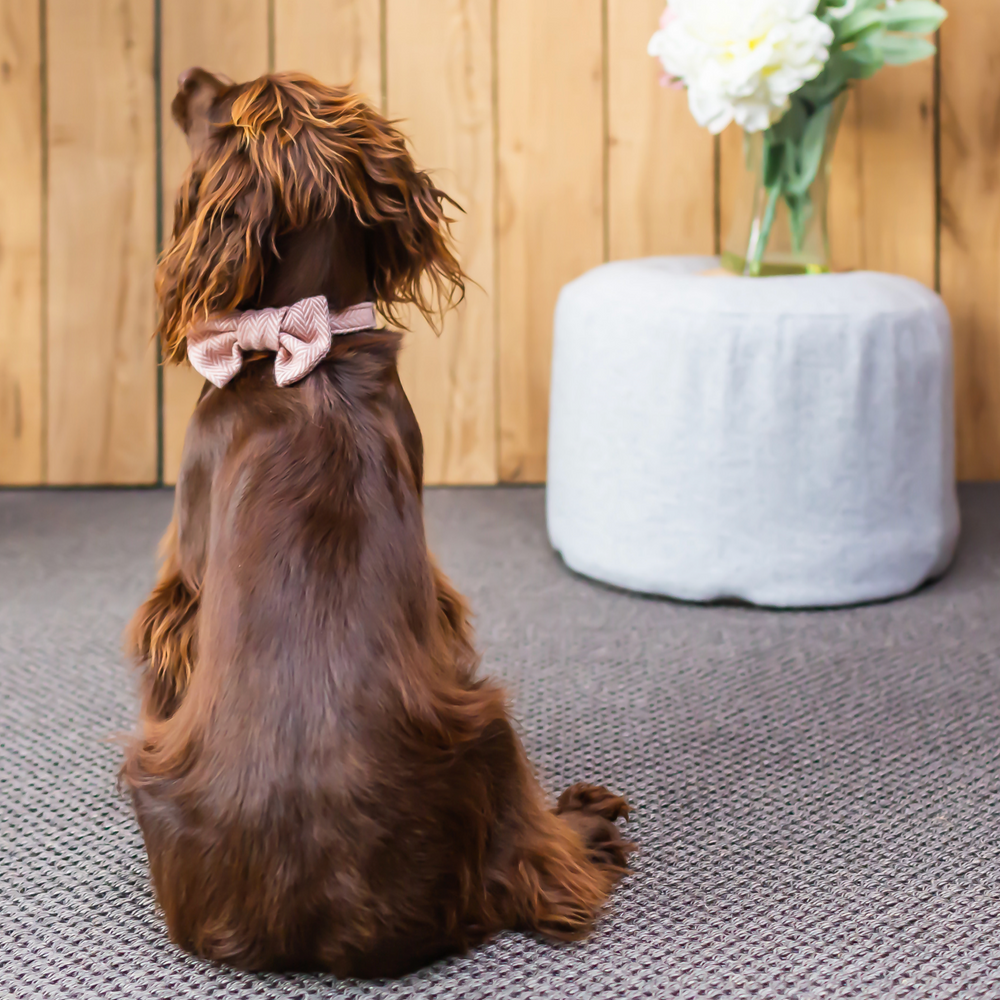 Tweedmill Rolled Tweed Dog Bow Tie, Dusky Pink