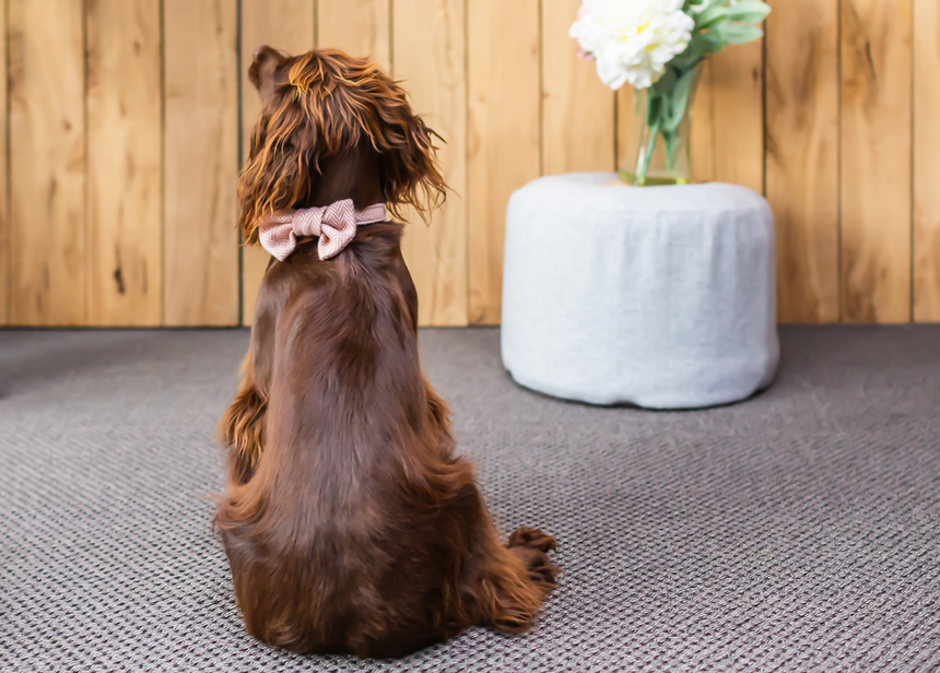 Tweedmill Rolled Tweed Dog Bow Tie, Dusky Pink