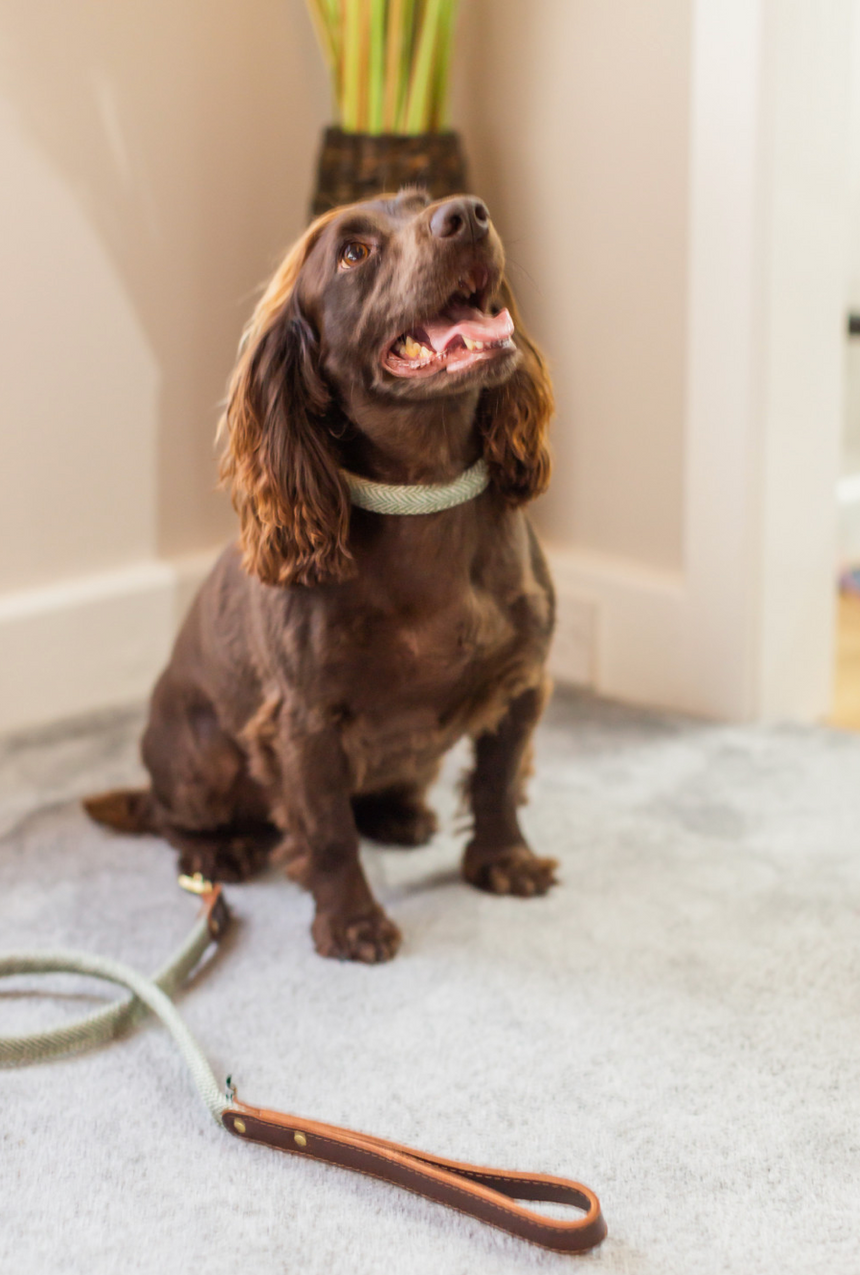 Tweedmill Rolled Tweed Dog Collar, Olive Green