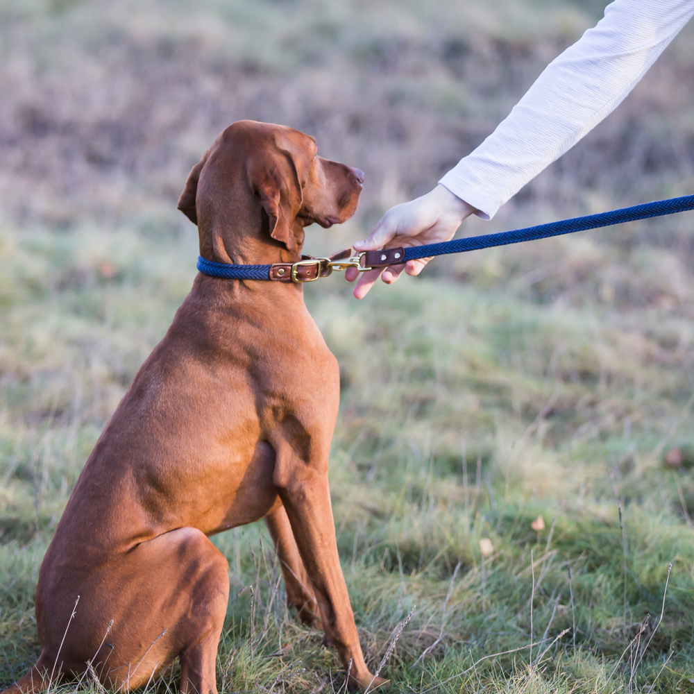 Tweedmill Rolled Tweed Dog Collar, Navy Blue