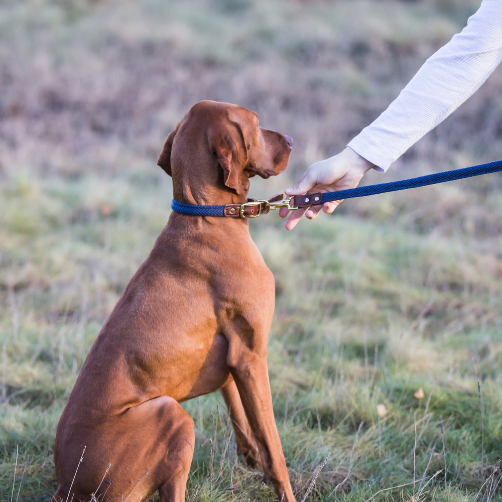 Tweedmill Rolled Tweed Dog Collar, Navy Blue