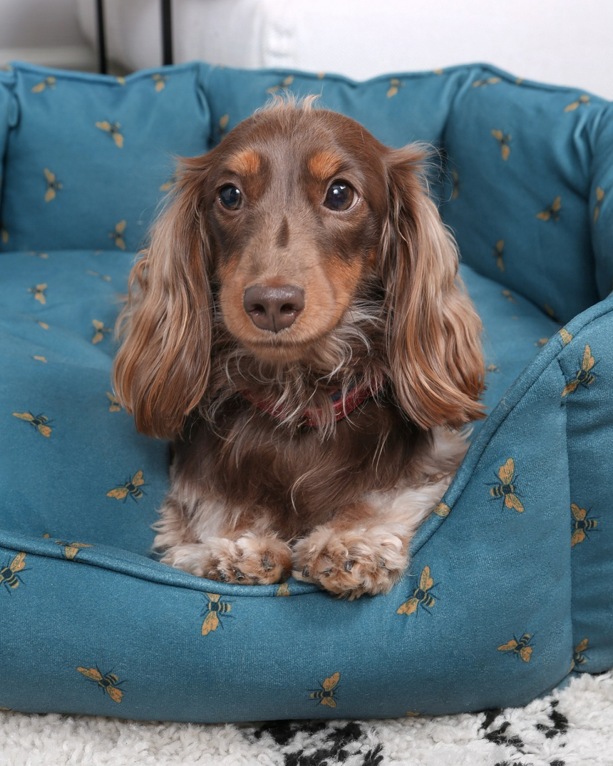 Sophie Allport Pet Bed, Bees