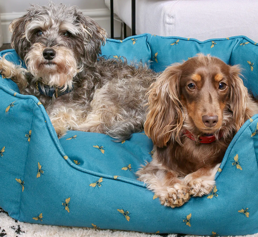 Sophie Allport Pet Bed, Bees