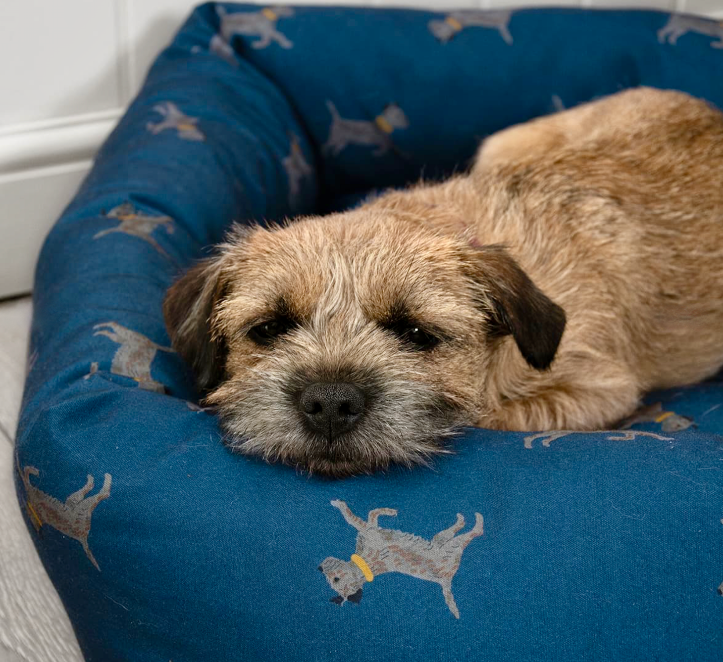 Sophie Allport Pet Bed, Terriers