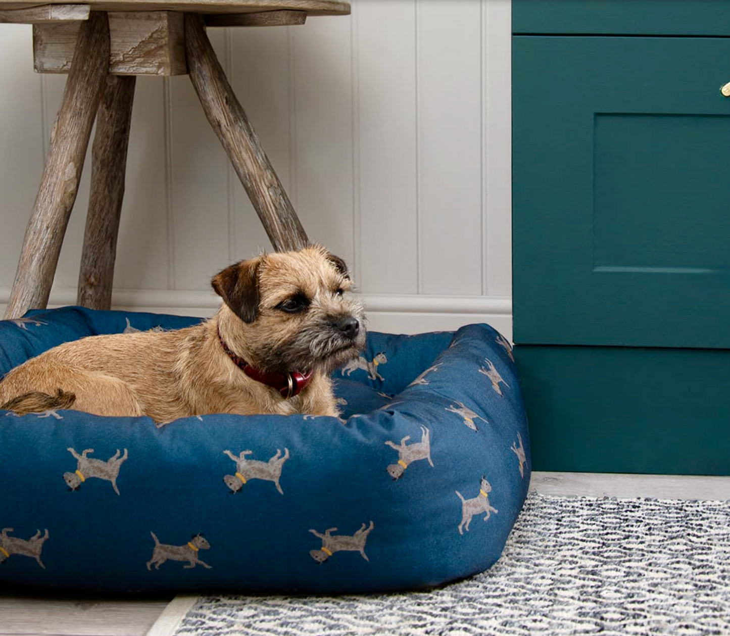 Sophie Allport Pet Bed, Terriers