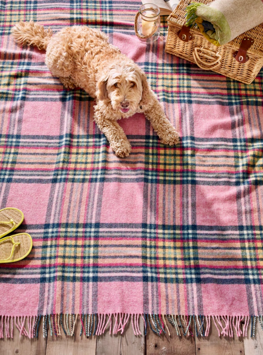 Bronte By Moon St Ives Shetland Wool Throw, Pink