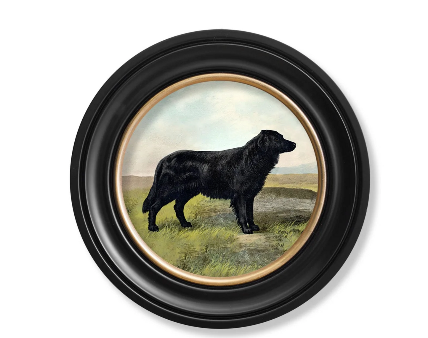 Vintage Round Framed Print 1881 Working Dogs, Labrador