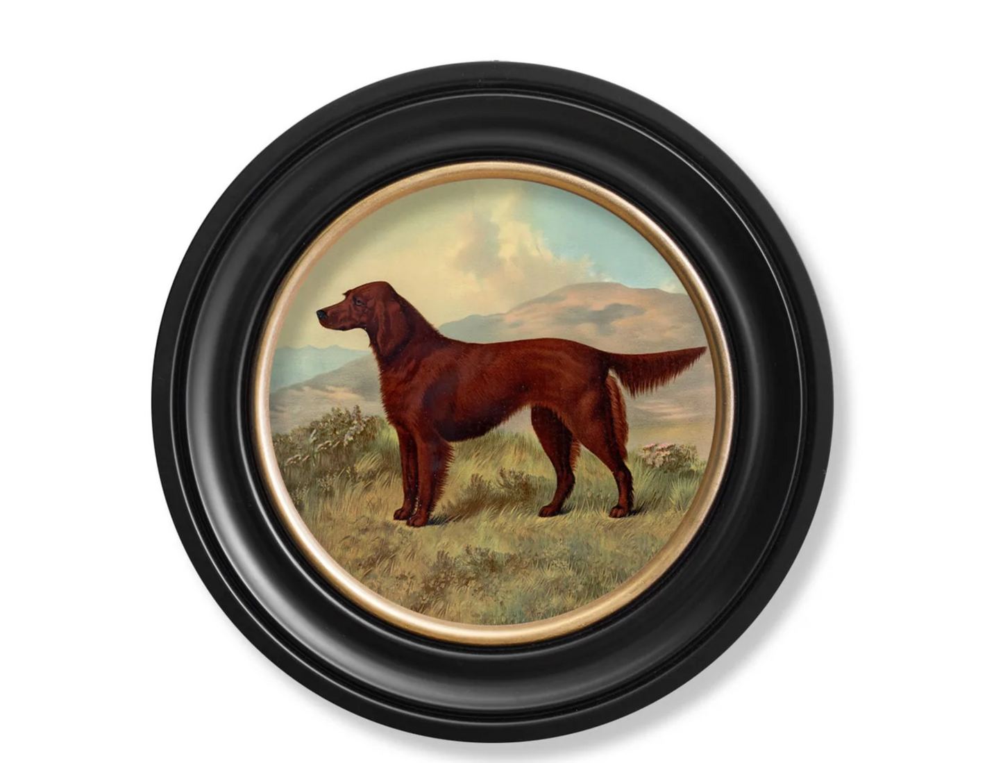 Vintage Round Framed Print 1881 Working Dogs, Irish Setter