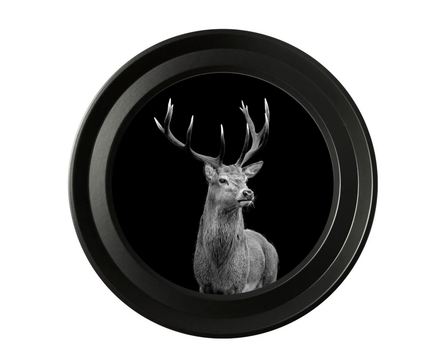 Vintage Round Framed Print, Wildlife Photography, Highland Stag