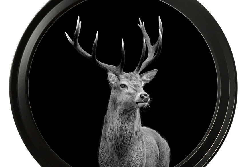 Vintage Round Framed Print, Wildlife Photography, Highland Stag