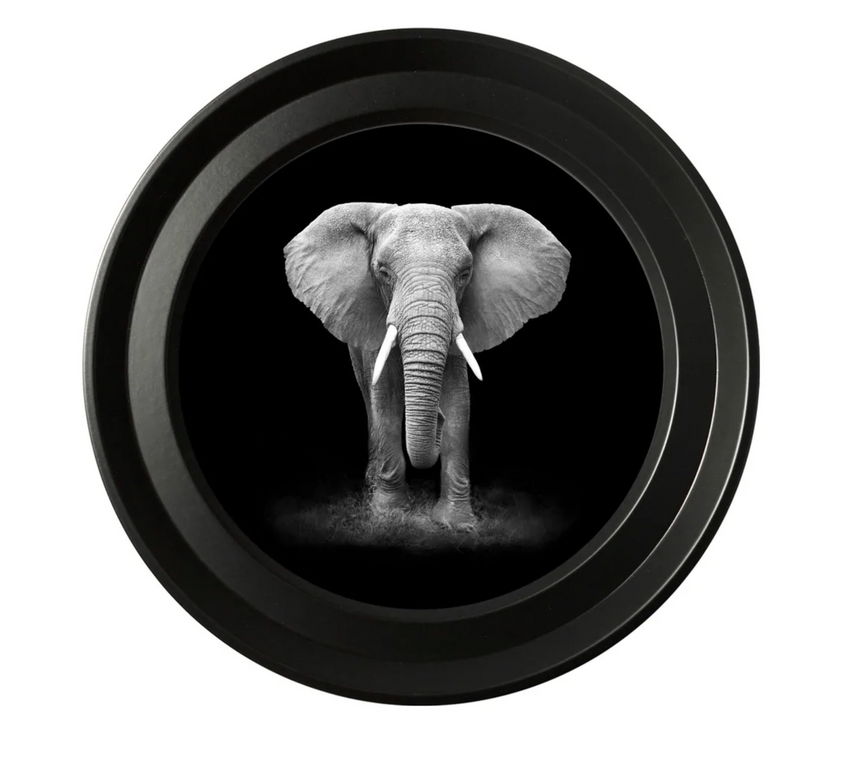 Vintage Round Framed Print, Wildlife Photography , African Elephant