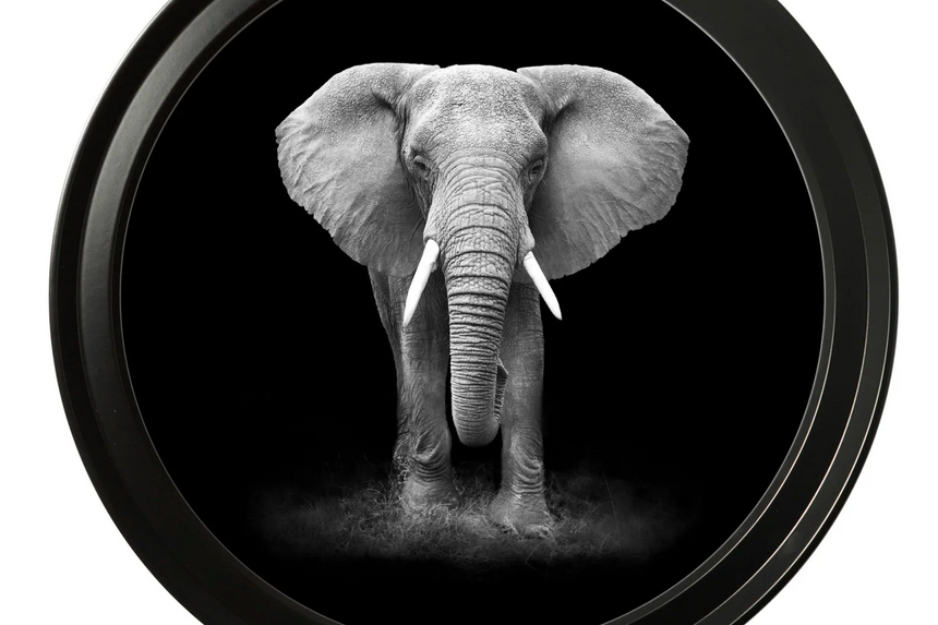 Vintage Round Framed Print, Wildlife Photography , African Elephant