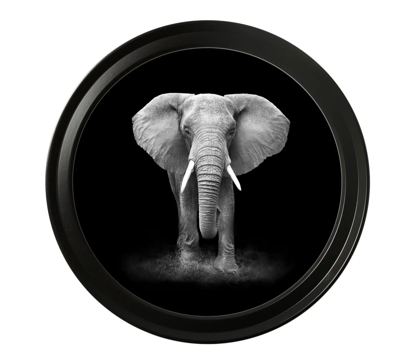 Vintage Round Framed Print, Wildlife Photography , African Elephant