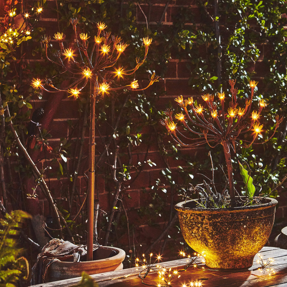 Wild Fennel Fairy LED Light ( Dual Powered )