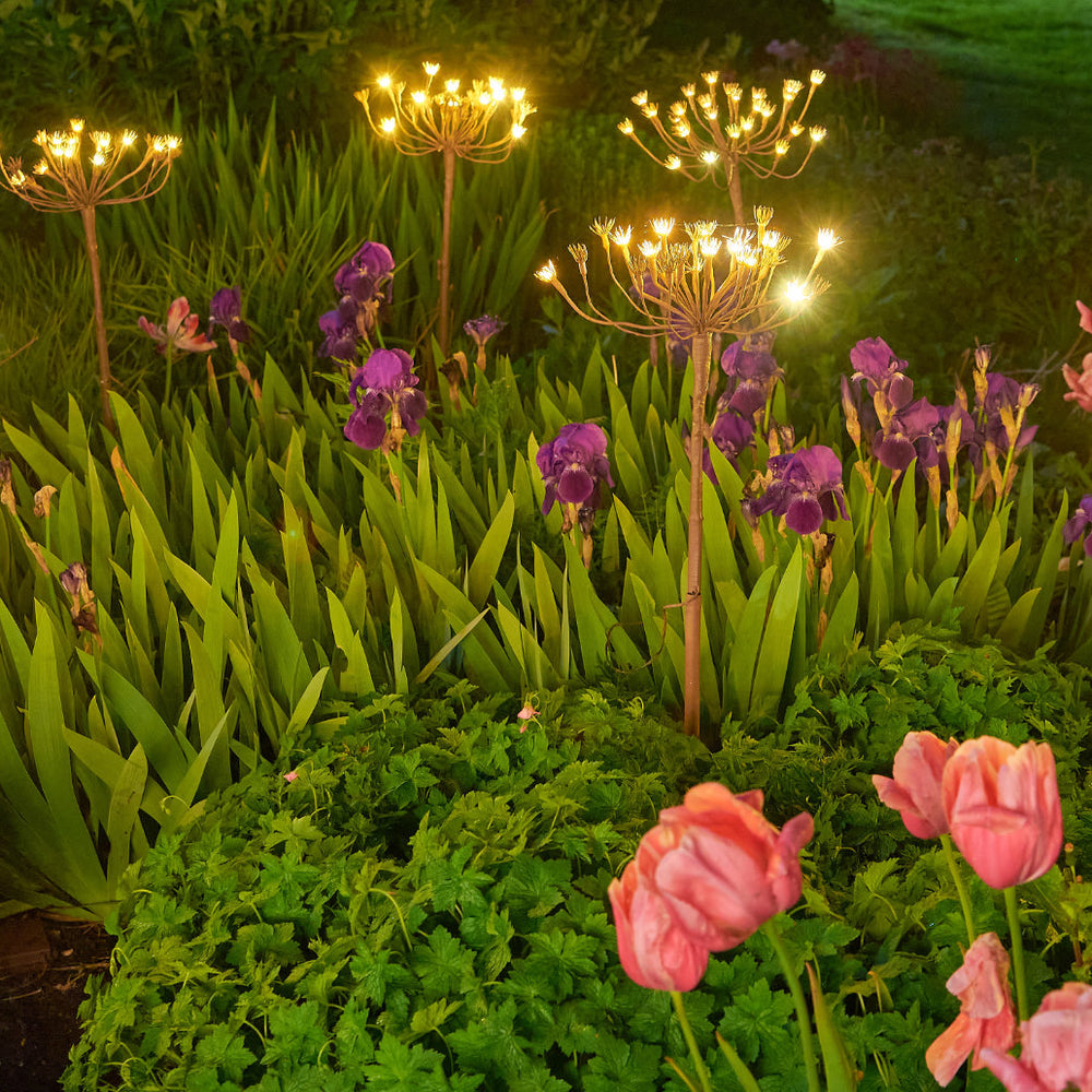 Wild Fennel Fairy LED Light ( Dual Powered )