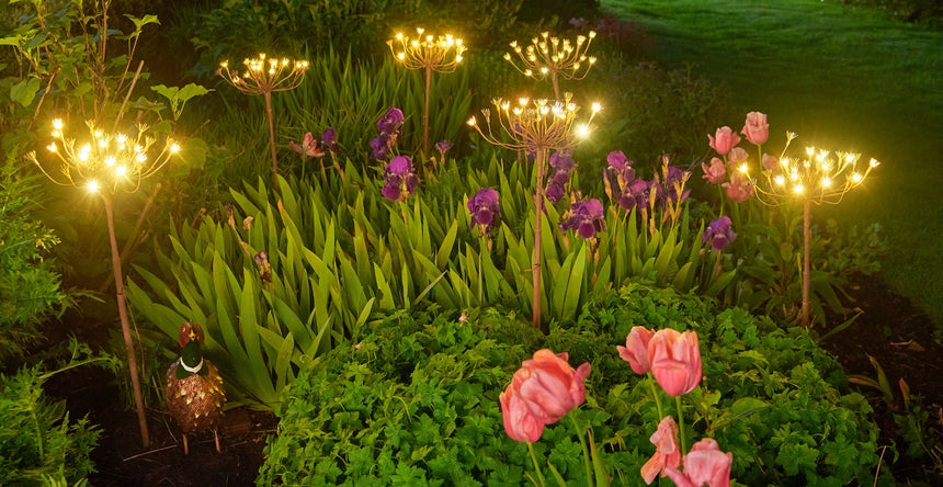 Wild Fennel Fairy LED Light ( Dual Powered )