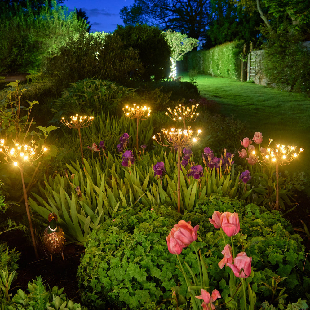 Wild Fennel Fairy LED Light ( Dual Powered )