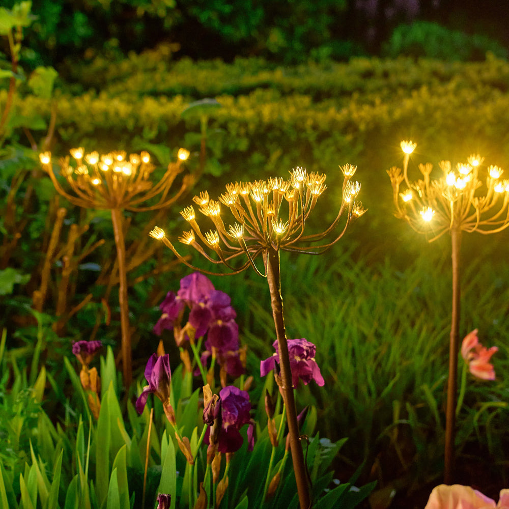 Wild Fennel Fairy LED Light ( Dual Powered )