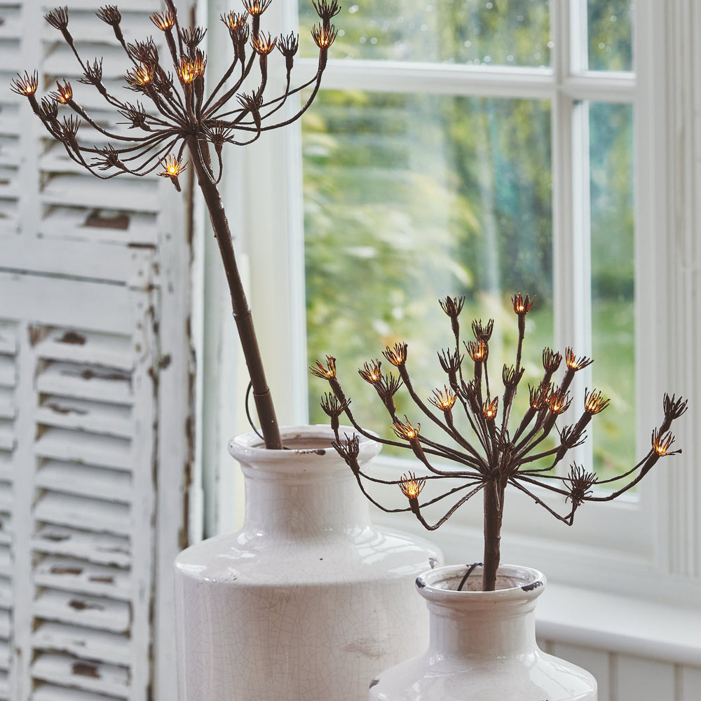 Wild Fennel Fairy LED Light ( Dual Powered )