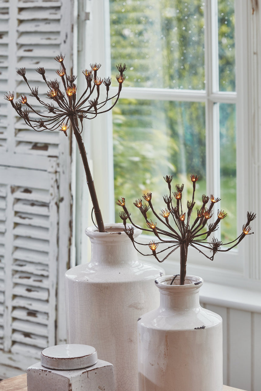 Wild Fennel Fairy LED Light ( Dual Powered )