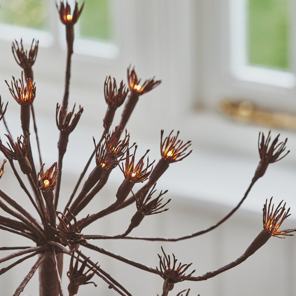 Wild Fennel Fairy LED Light ( Dual Powered )