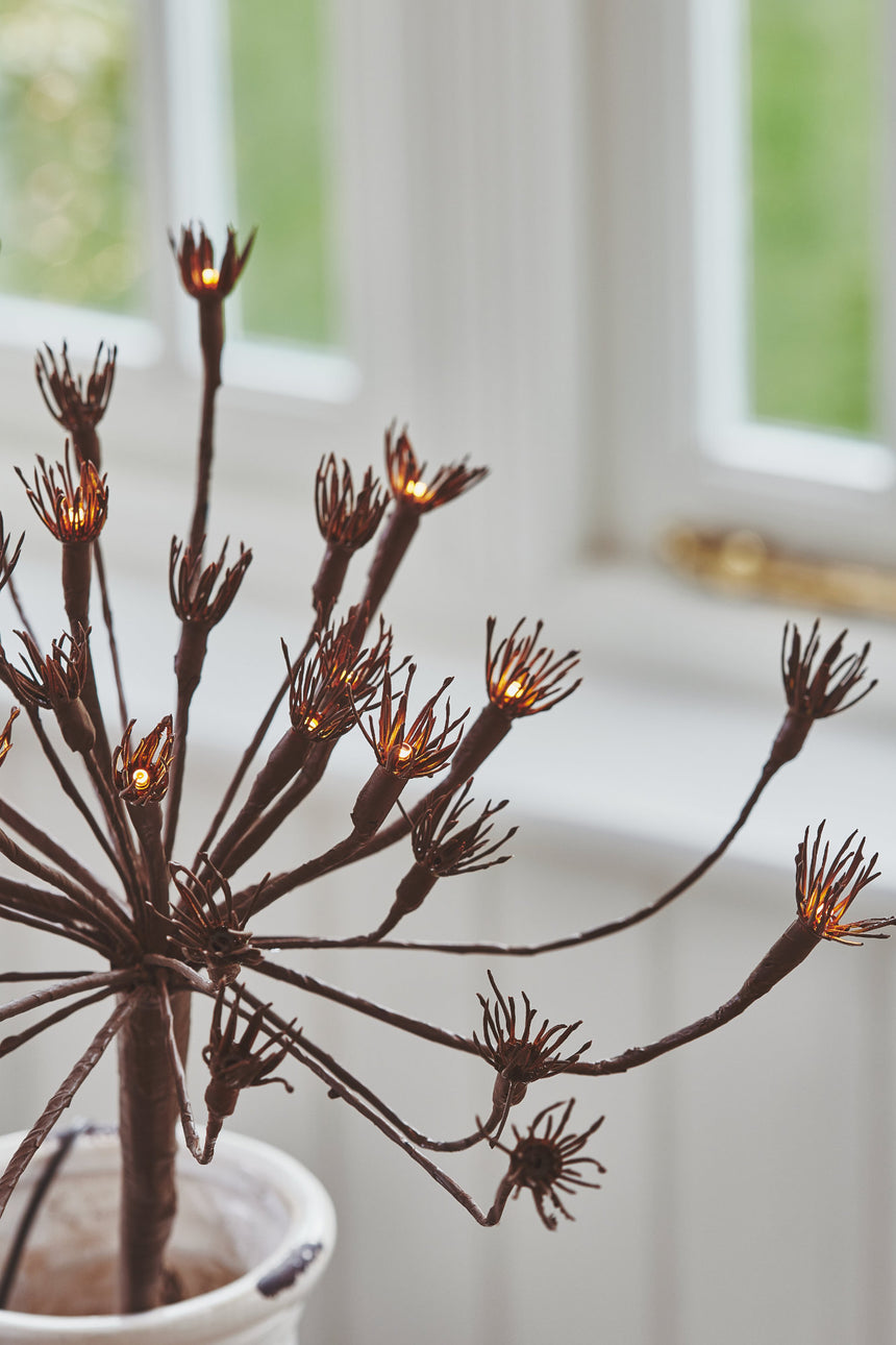 Wild Fennel Fairy LED Light ( Dual Powered )