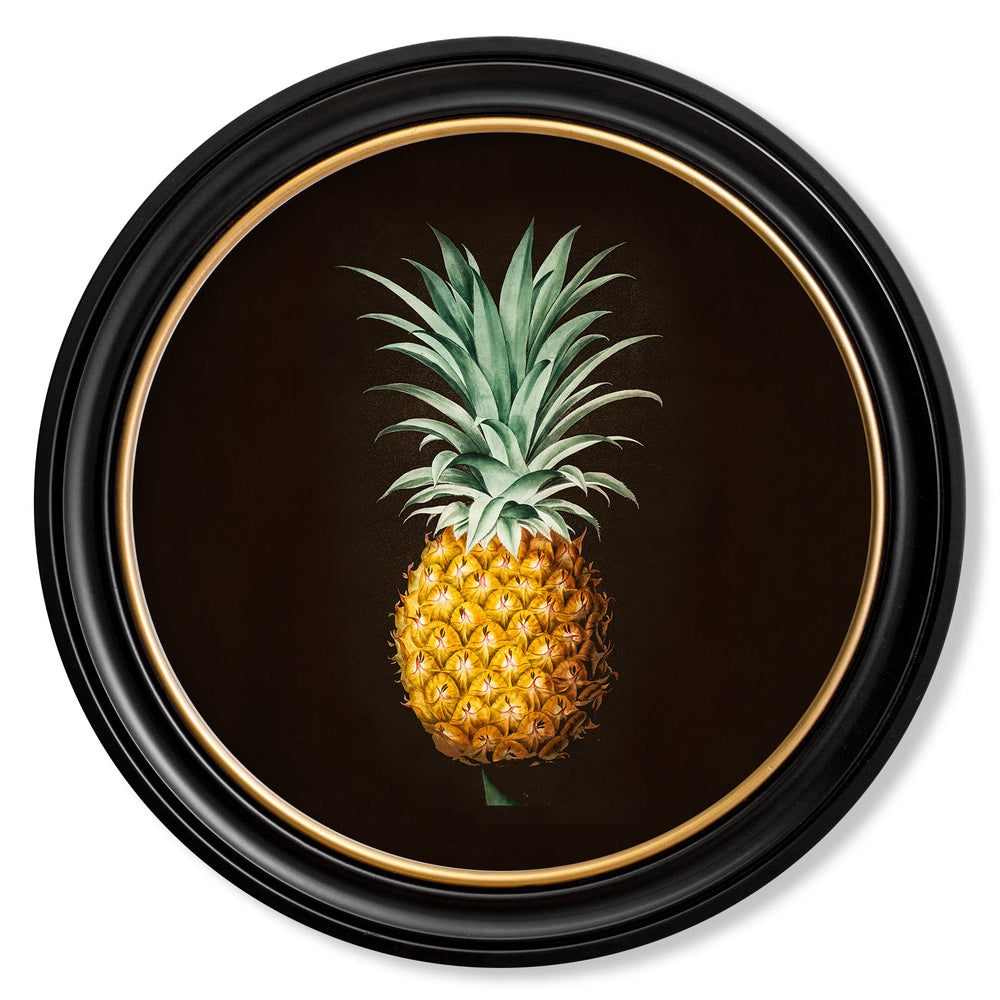 Vintage Round Framed Print, Pineapple