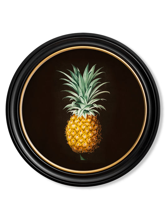 Vintage Round Framed Print, Pineapple