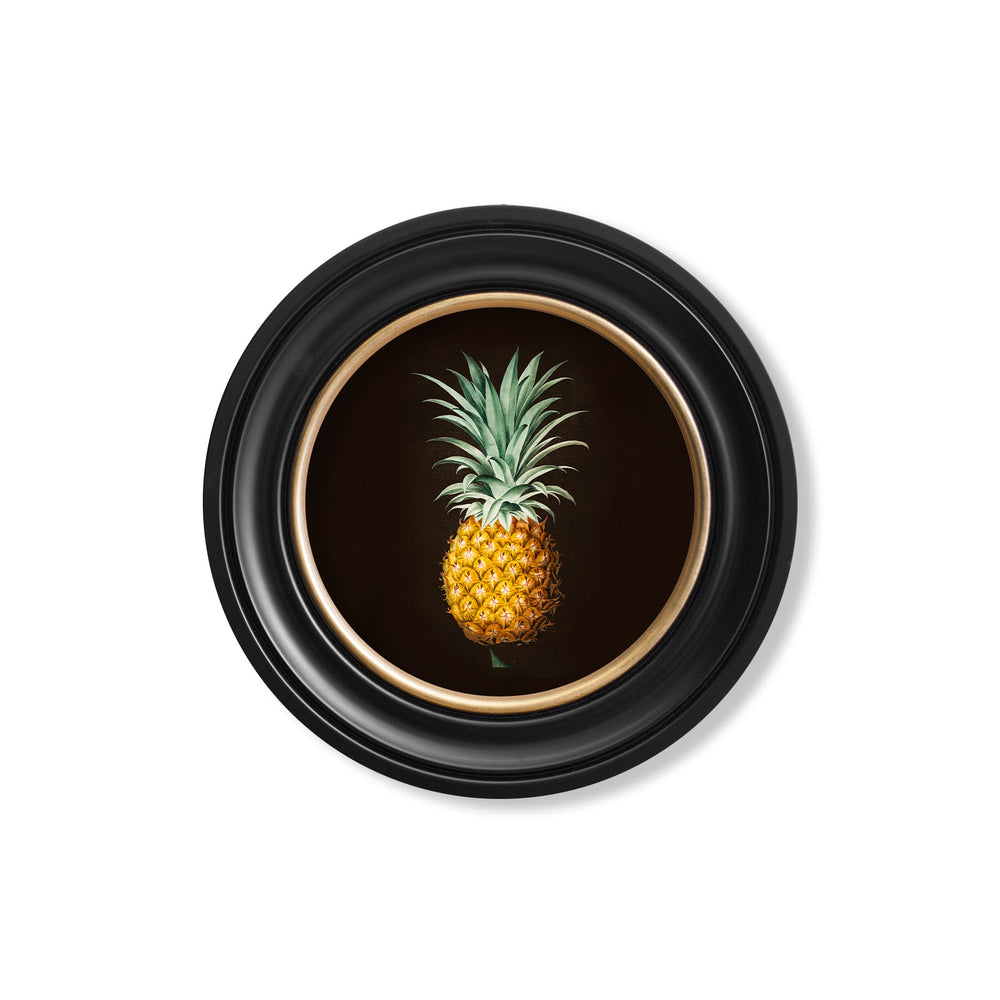 Vintage Round Framed Print, Pineapple