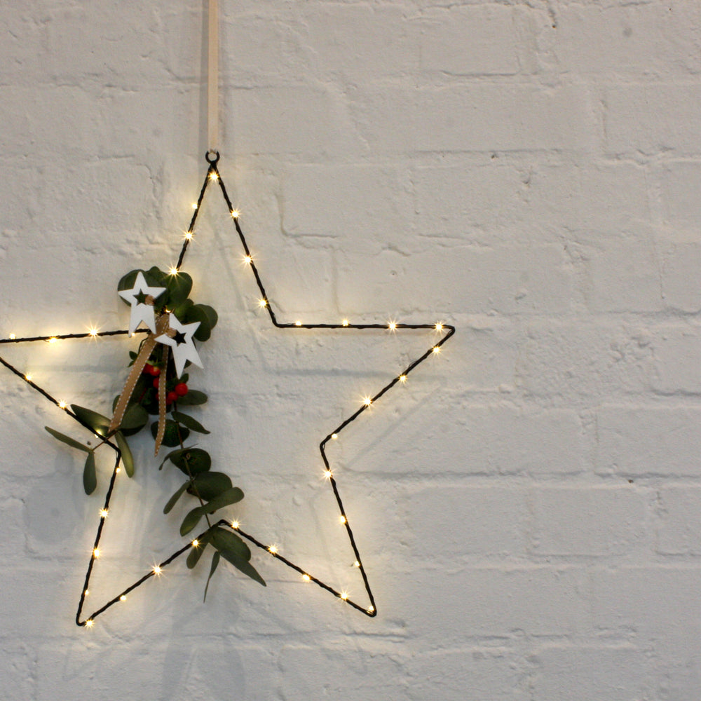 Hanging  LED Star Light, Black(Battery Operated)