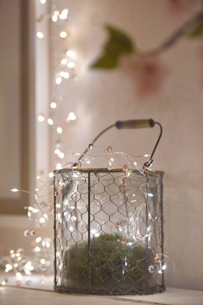 Coco Cluster Fairy Lights ( Mains Powered)