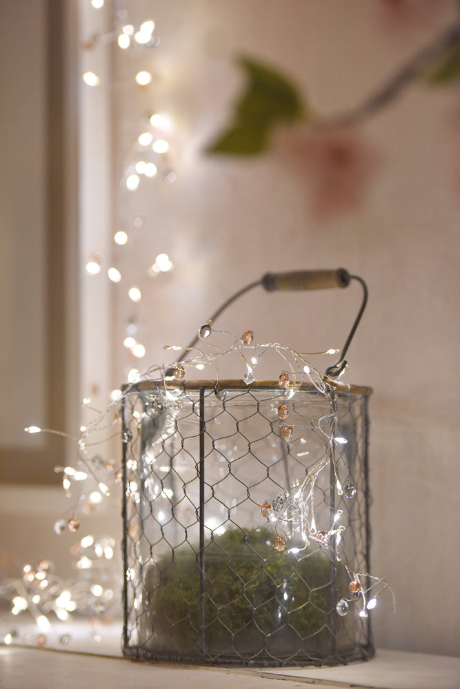Coco Cluster Fairy Lights ( Battery Operated)