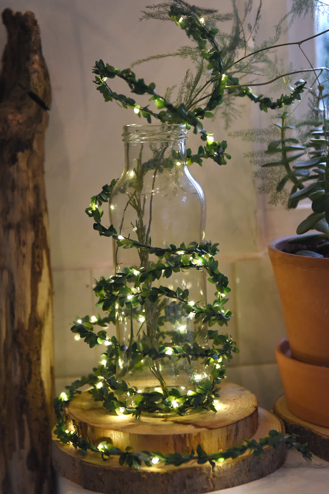 Greenery LED Fairy Light ( Battery Operated )