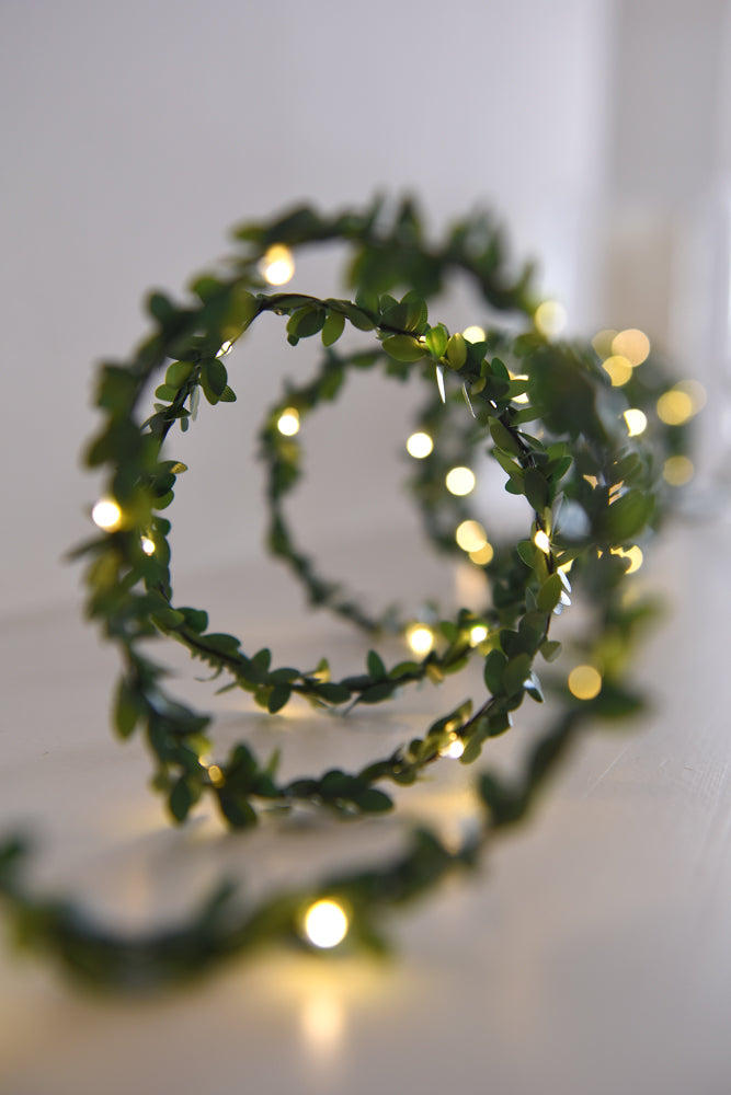 Greenery LED Fairy Light (Battery Operated)