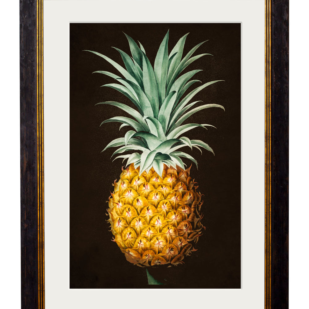 Vintage Framed Print, Pineapple